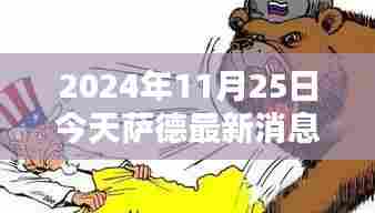 萨德最新动态及观点分析,聚焦2024年11月25日