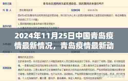 青岛疫情最新动态，聚焦防控进展与现状，共同关注青岛疫情最新情况（2024年11月25日）