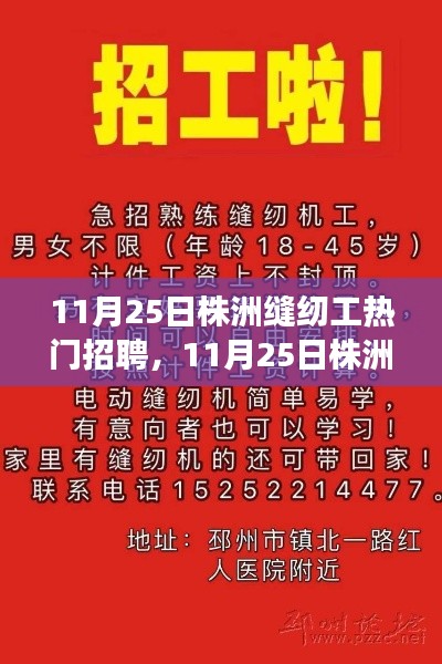 11月25日株洲缝纫工招聘启事,掌握技艺,匠心人生之门开启