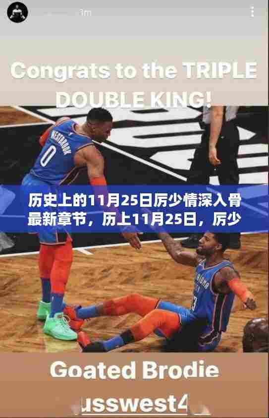 时代背景下的情感烙印,厉少情深入骨的历史变迁与影响——11月25日最新章节揭秘