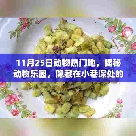 揭秘动物乐园美食秘境,小巷深处的独特美食之旅(11月25日动物热门地)