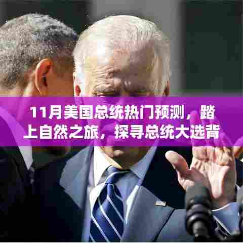 探寻心灵宁静之旅,揭秘11月美国总统热门预测背后的故事