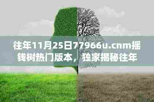 独家揭秘,往年11月25日77966u.cnm摇钱树热门版本,财富增长新姿势全解析!
