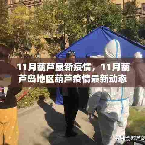 葫芦岛地区疫情最新动态及疫情动态分析(11月最新)