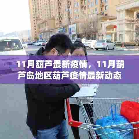 葫芦岛地区疫情最新动态及疫情动态分析(11月最新)