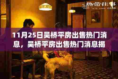 揭秘吴桥平房出售背后的故事,历史背景、重大事件与深远影响