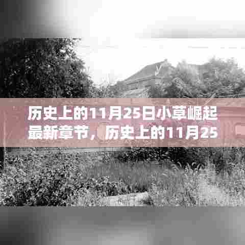 历史上的11月25日,小草崛起的最新章节深度测评与介绍