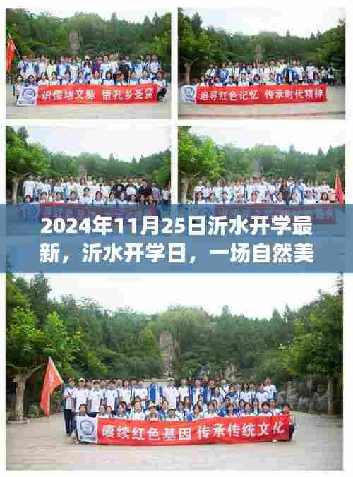 草草了事 第5页