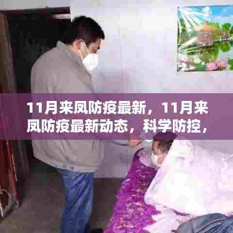 11月来凤防疫最新动态,科学防控,筑牢安全防线