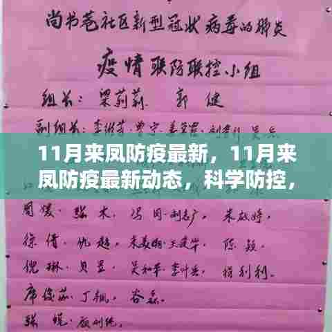 11月来凤防疫最新动态,科学防控,筑牢安全防线