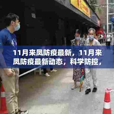 11月来凤防疫最新动态,科学防控,筑牢安全防线