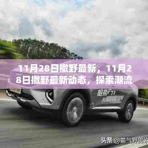独家报道,揭秘潮流前沿动态,探索最新撒野资讯——11月28日更新