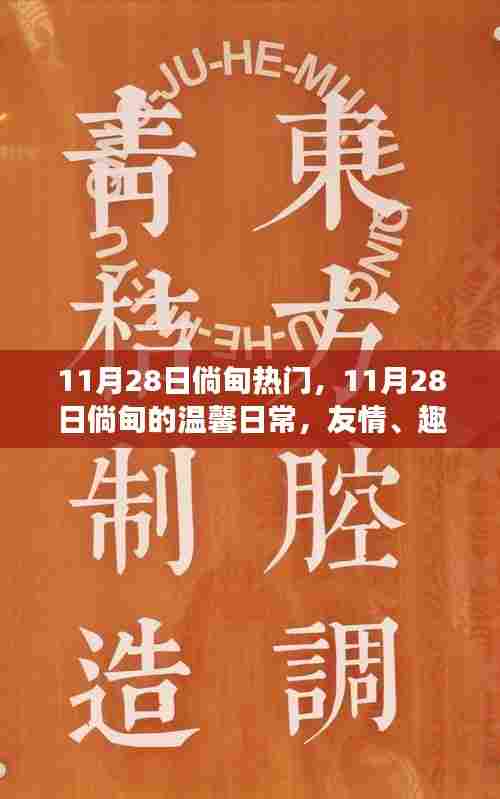 11月28日倘甸的温馨日常,友情、趣事与家的温暖时刻
