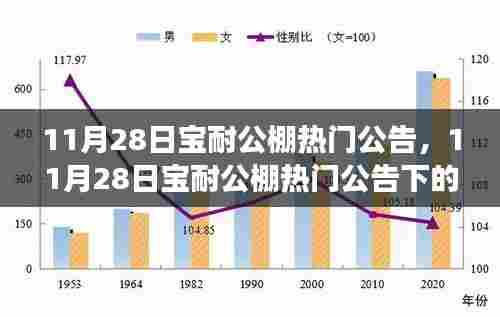 从某某视角看宝耐公棚热门公告,影响深远