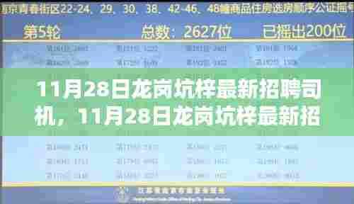 11月28日龙岗坑梓司机招聘最新信息及评测介绍