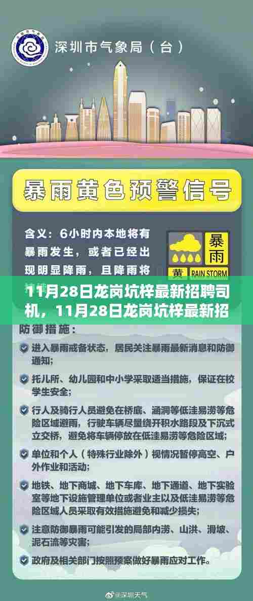 11月28日龙岗坑梓司机招聘最新信息及评测介绍