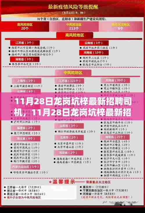 11月28日龙岗坑梓司机招聘最新信息及评测介绍