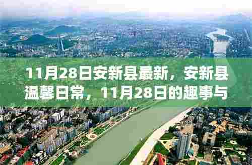 安新县温馨日常趣事与友情绽放纪实,十一月二十八日的精彩瞬间