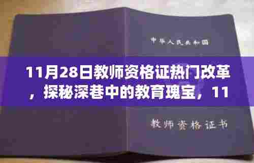 揭秘深巷教育瑰宝,探寻教师资格证改革背后的故事(11月28日热点)