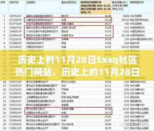 历史上的11月28日,5xsq社区网站热门事件与全面评测回顾