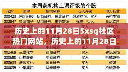 历史上的11月28日,5xsq社区网站热门事件与全面评测回顾