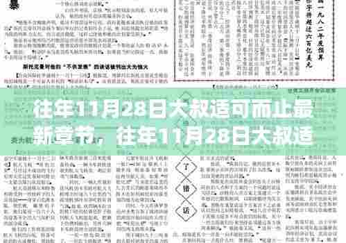 往年11月28日大叔适可而止,情感与生活交织的微妙世界