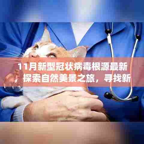 探索自然美景之旅，探寻新冠病毒根源下的宁静与平和