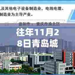 坌鸟先飞 第4页