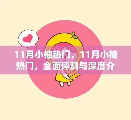 11月小柚热门,全面评测与深度介绍