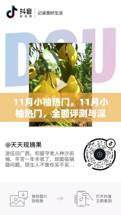 11月小柚热门,全面评测与深度介绍