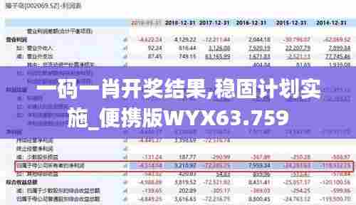 一码一肖开奖结果,稳固计划实施_便携版WYX63.759