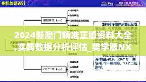 2024新澳门精准正版资料大全,实践数据分析评估_美学版NXL82.828