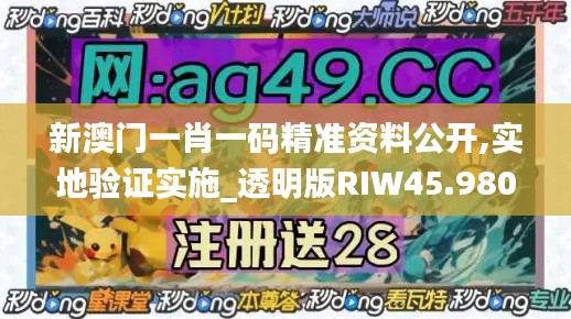 新澳门一肖一码精准资料公开,实地验证实施_透明版RIW45.980