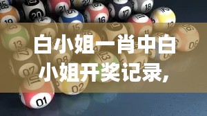 白小姐一肖中白小姐开奖记录,仿真方案实施_VR版LPU49.284
