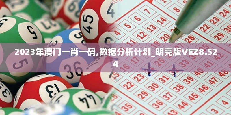 2023年澳门一肖一码,数据分析计划_明亮版VEZ8.524