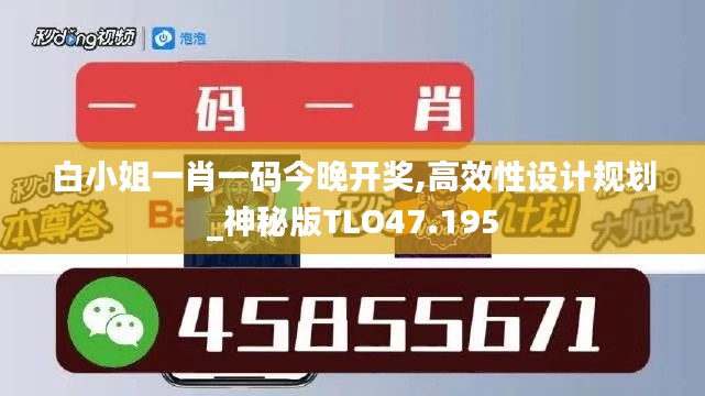 白小姐一肖一码今晚开奖,高效性设计规划_神秘版TLO47.195