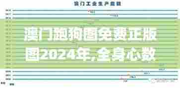 澳门跑狗图免费正版图2024年,全身心数据指导枕_硬件版LIL13.303