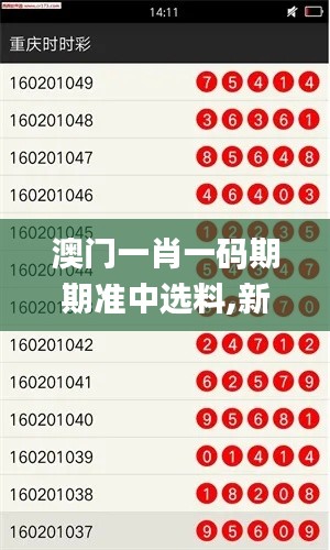 澳门一肖一码期期准中选料,新技术推动方略_幽雅版NXF40.735