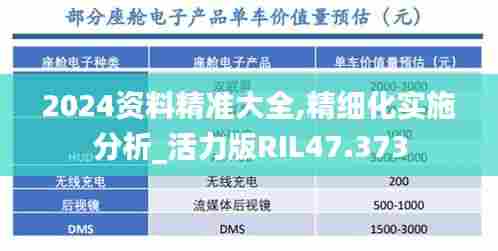 2024资料精准大全,精细化实施分析_活力版RIL47.373