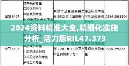 2024资料精准大全,精细化实施分析_活力版RIL47.373
