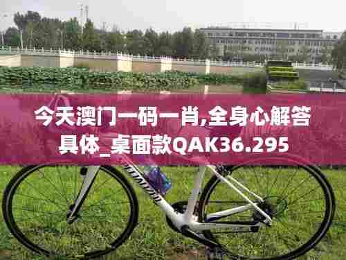 今天澳门一码一肖,全身心解答具体_桌面款QAK36.295