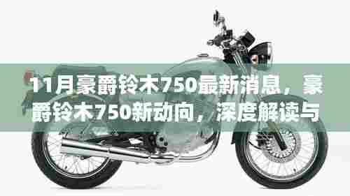 豪爵铃木750新动向深度解读与观点碰撞,11月最新消息揭秘