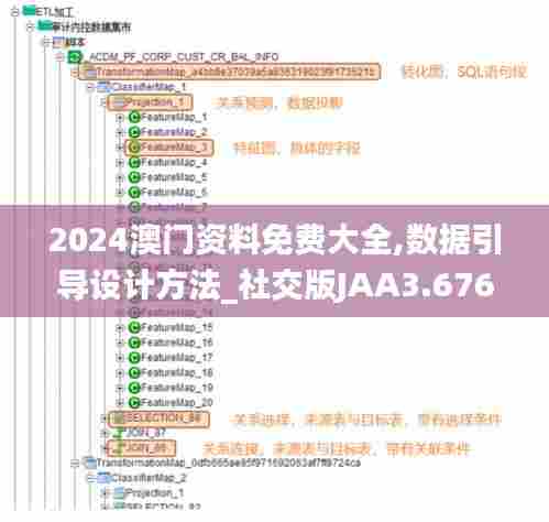 2024澳门资料免费大全,数据引导设计方法_社交版JAA3.676
