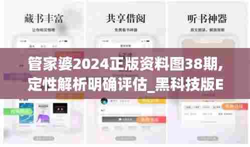 管家婆2024正版资料图38期,定性解析明确评估_黑科技版EUS47.401