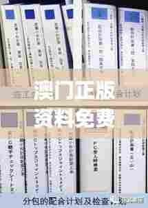 澳门正版资料免费更新结果查询,完善实施计划_神秘版HMH62.448