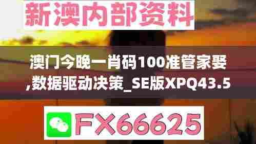 澳门今晚一肖码100准管家娶,数据驱动决策_SE版XPQ43.516