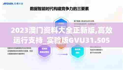 2023澳门资料大全正新版,高效运行支持_实验版GVU31.505