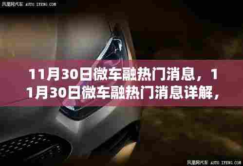 11月30日微车融热门消息详解,掌握最新动态与技能