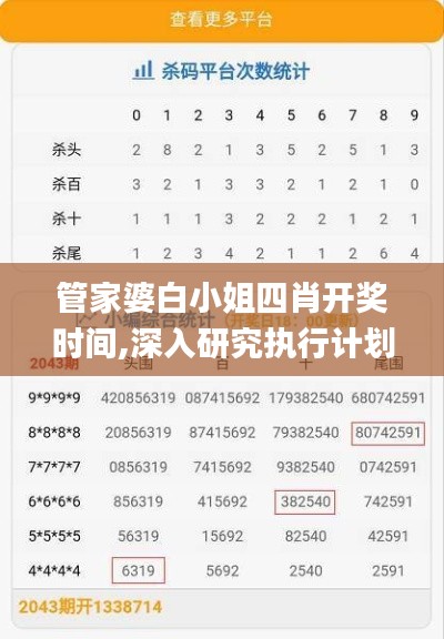 管家婆白小姐四肖开奖时间,深入研究执行计划_远程版ZLD60.103