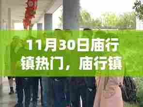 庙行镇11月30日盛况纪实,热门活动一览